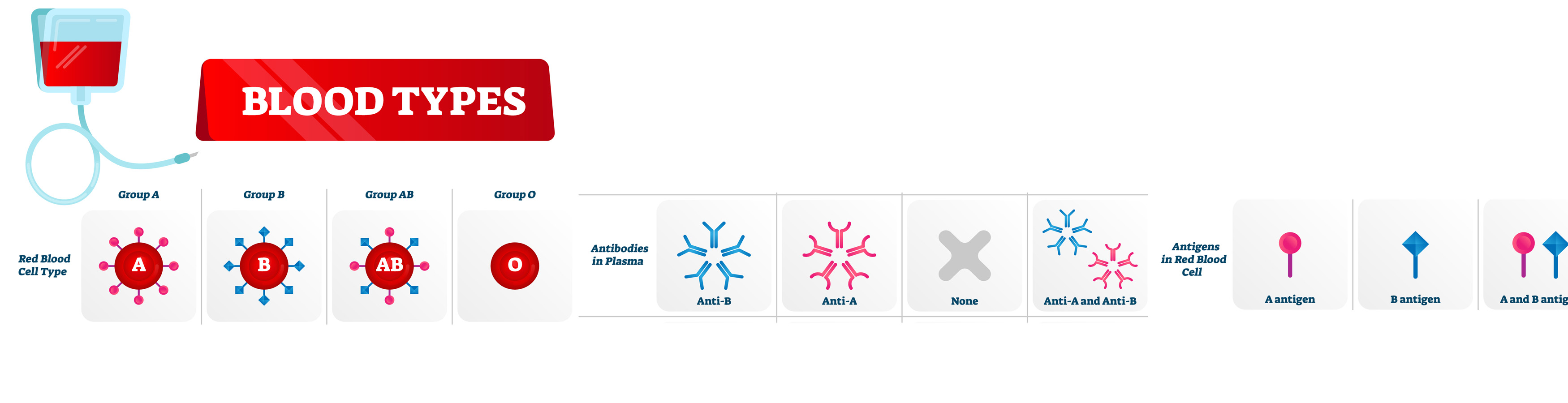 Crossmatch pathology tests explained